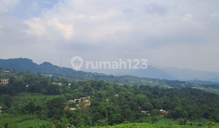 For Sale: Tangkil Village Land, Citeureup Area, Sentul Circuit. For Sale: Tangkil Village Land, Citeureup Area, Sentul Circuit.