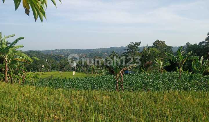 Di Jual Tanah Puncak Bogor Cisarua Jawa.barat Di Jual Tanah Puncak Bogor Cisarua Jawa.barat