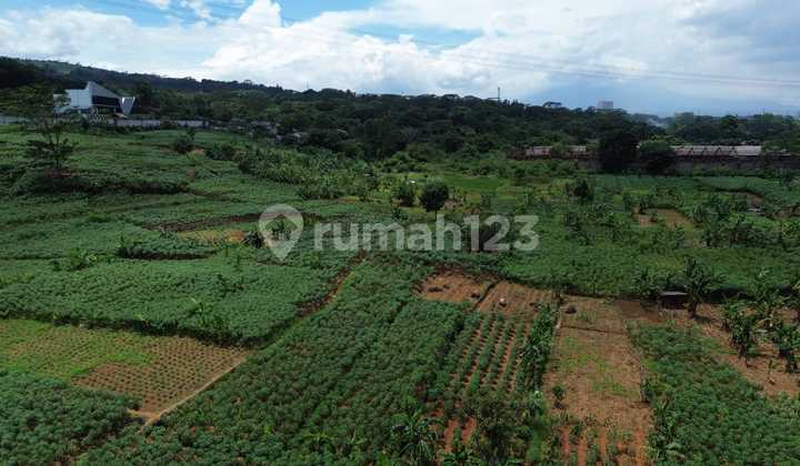 For Sale Land in Citeureup Industrial Area Bogor West Java