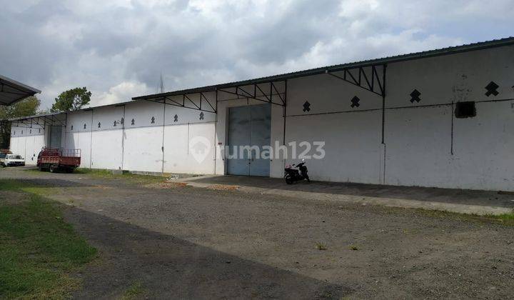 Disewakan Gudang Luas Beserta Ruang Kantornya Di Jember 1