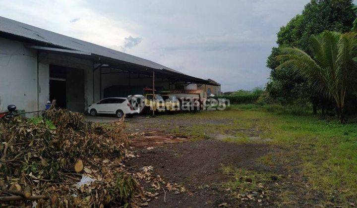 Disewakan Gudang Luas di Kota Jember 1