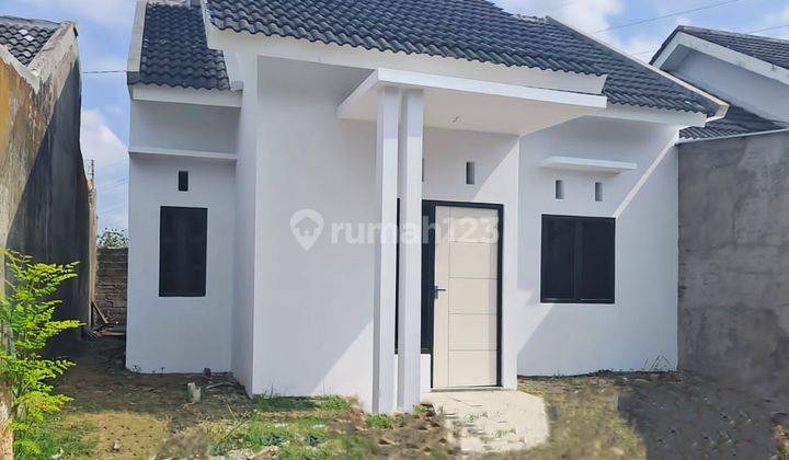 Dijual Murah Rumah Minimalis Tengah Kota Jember 1