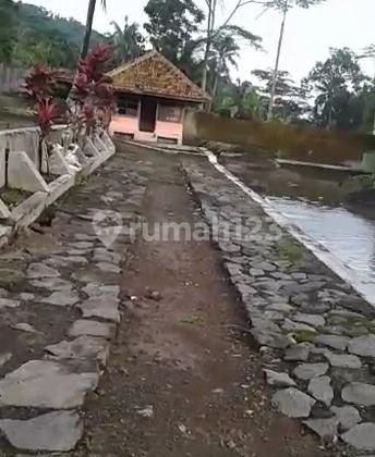 Tanah Luas di Jual di Kabupaten Subang 