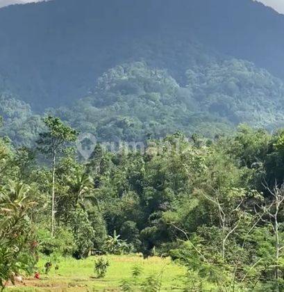 Tanah + Villa View Hamparan Sawah Sungai Tabanan Jati Luwih Bali 2