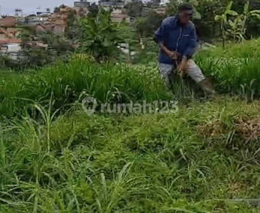 Tanah Murah Siap Bangun di Cisarua, Bandung Barat 2