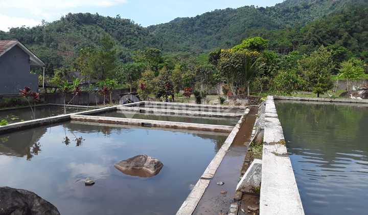 Tanah Luas di Jual di Kabupaten Subang 