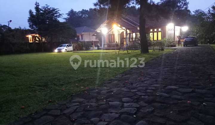 Villa With Extensive, Well-Maintained, and Productive Land in Megamendung, Bogor 2