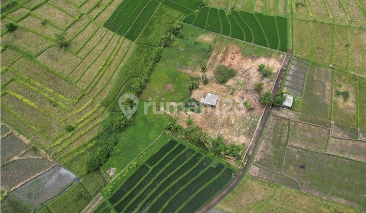 Premium Coastal Land - Nyanyi, Bali