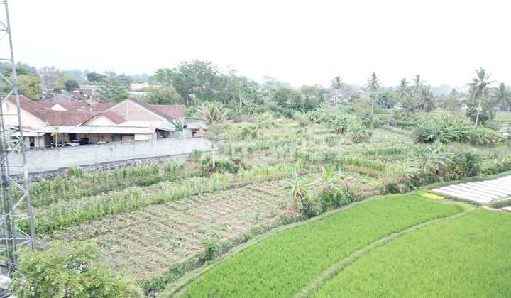 Strategic Land with 40 Feet Container Access in Kertosari, Temanggung Strategic Land with 40 Feet Container Access in Kertosari, Temanggung