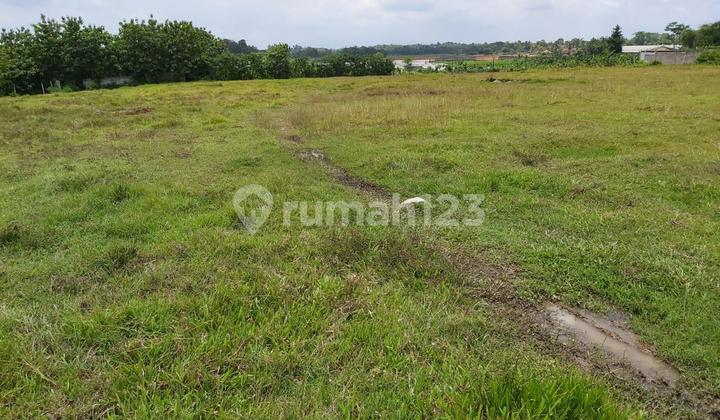 Strategic Land for Rent in Rangkasbitung