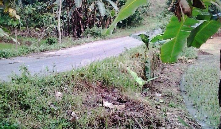 Dijual Tanah Sawah Di Ungaran Dekat Pemakaman Mount Carmel  1