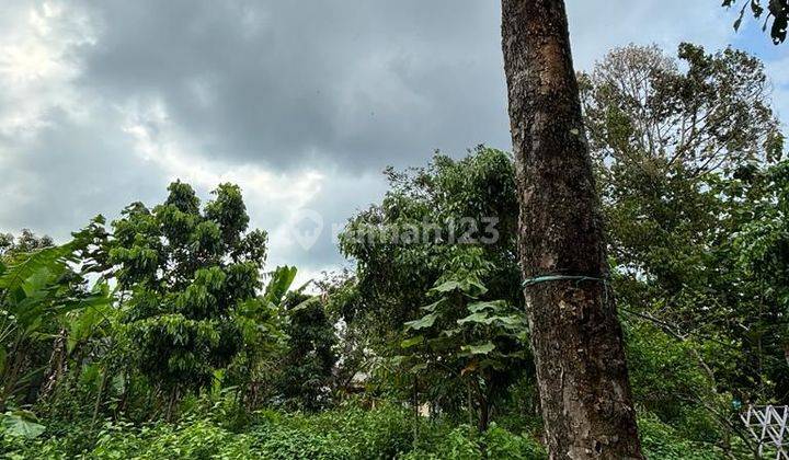 DIJUAL TANAH DI BANDUNGAN  2