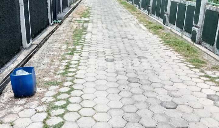 Rumah Strategis Di Kota Kendal Rumah Strategis Di Kota Kendal