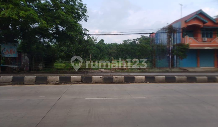 Land for Sale, Ready to Build, Access to Semarang Batang Pekalongan Highway.
