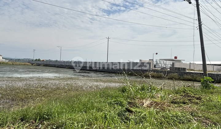 Industrial Estate Land on Pantura Street, Semarang Kendal