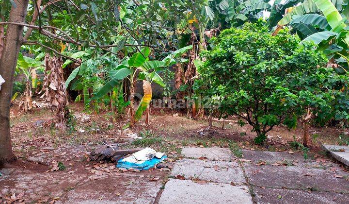  Tanah Area Sdn Negeri Srengseng Sawah 17 Pagi Luasan Ideal  1