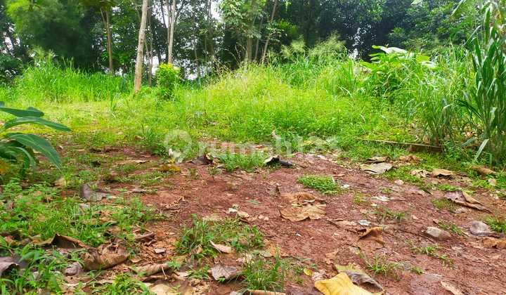 Tanah Pinggir Jalan Dekat Kolam Renang Tasa Luasan 300 M2 2