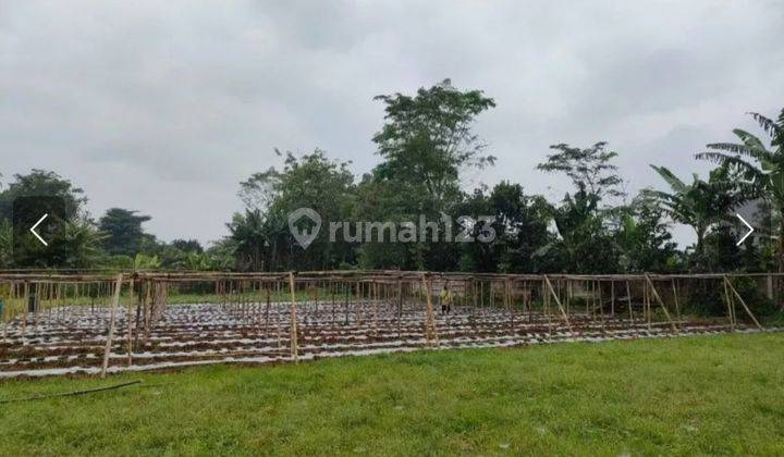 Tanah Di Sekitar Rumah Penduduk Desa 1