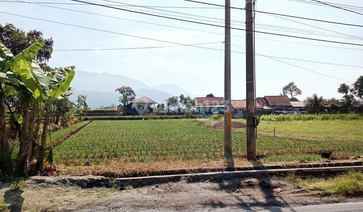 Dijual Cepat Tanah Luas di Samarang Garut Kota Harga Terbaik 1