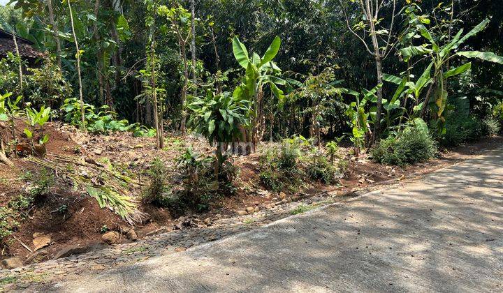 Termurah Tanah Datar Kebun Durian 125Jt Mojogedang, Solo 2