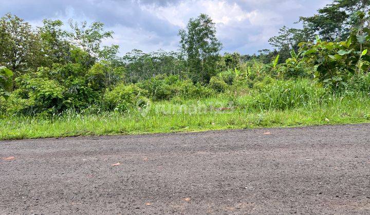 Tanah Strategis Tepi Jl Raya 3000m² Karanganyar  1