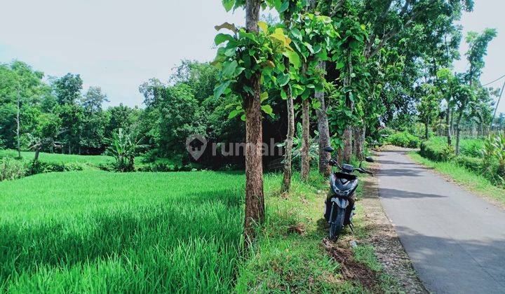 Tanah Subur 1300m2 Hanya 260 Juta Karanganyar 1