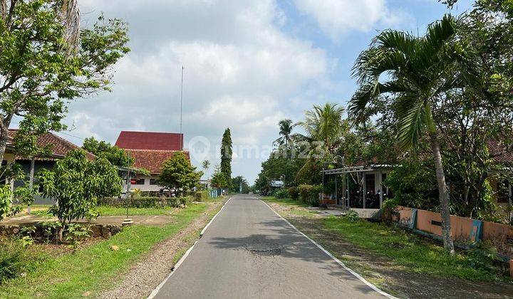 Kebun Durian Hanya 200 Juta Karanganyar  1