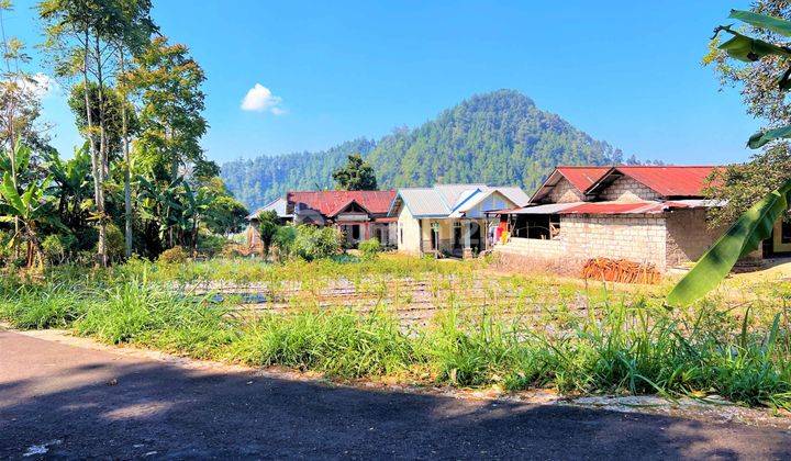 Tanah View Gunung Lawu Hanya 235 Juta Kemuning 