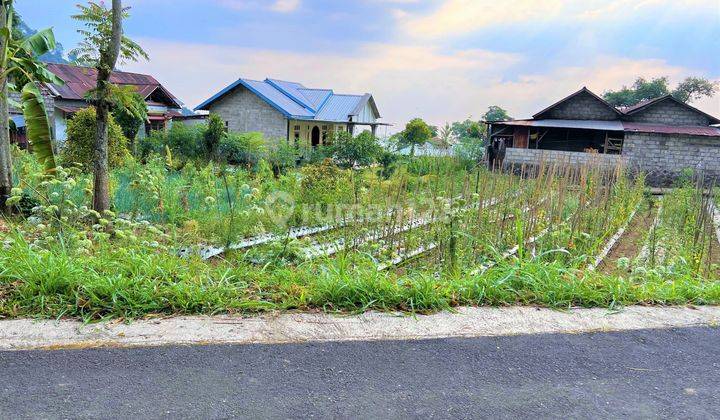 Tanah View Gunung Lawu Hanya 235 Juta Kemuning  2