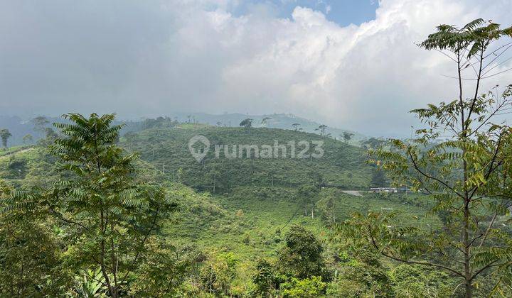 Tanah View Jembatan Kaca 100m2 Kemuning Karanganyar  2