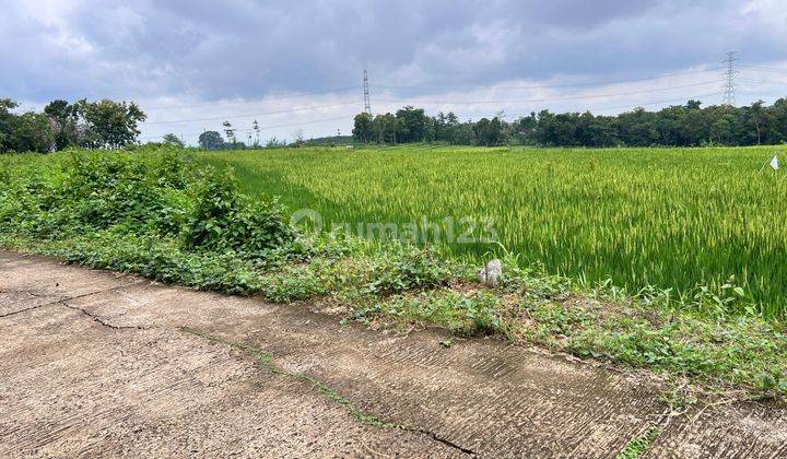 Tanah Datar Subur 2400m2 Utara Kecamatan Kerjo 2