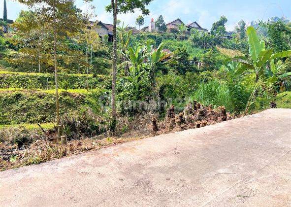 Pekarangan Dekat Aliran Sungai Gunung Lawu Karanganyar  1