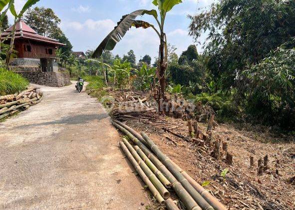 Pekarangan Dekat Aliran Sungai Gunung Lawu Karanganyar  2