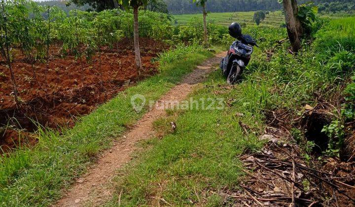 Tanah Super Datar 4000m2 450 Juta Utara Kantor Kecamatan Kerjo  2