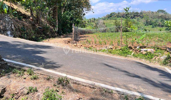 Tanah Subur Bisa Panen 3x Setahun Karangpandan, Karanganyar  2