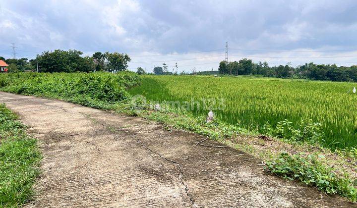 Tanah Subur Datar 2400m2 350 Juta Karanganyar  2