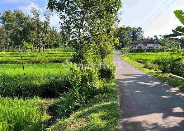 View Hampran Sawah 200Juta Mojogedang, Karanganyar  1