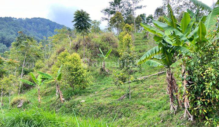 Tanah Terjangkau Kemuning 1837m2 350Jt Karanganyar  2