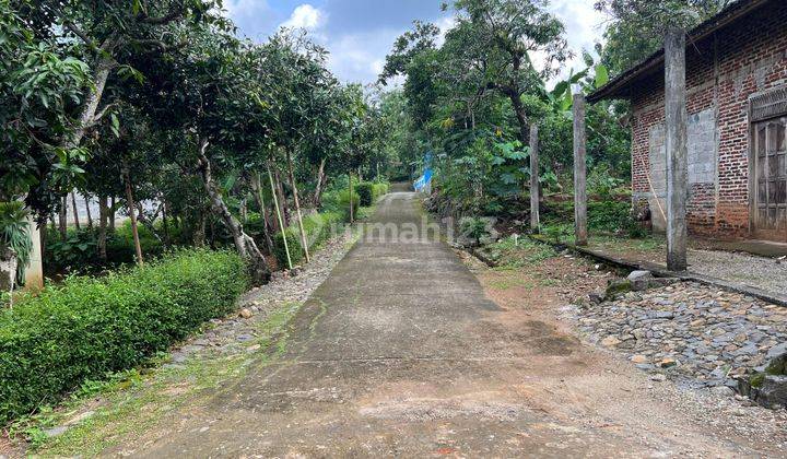 Dijual Tanah Full Pohon Alpukat 2216m2 Karanganyar Utara 1