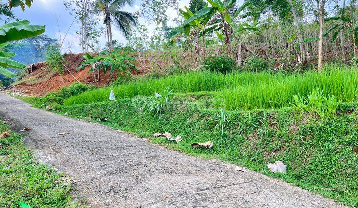 Tanah View Hamparan Sawah 800 Juta Karangpandan  2