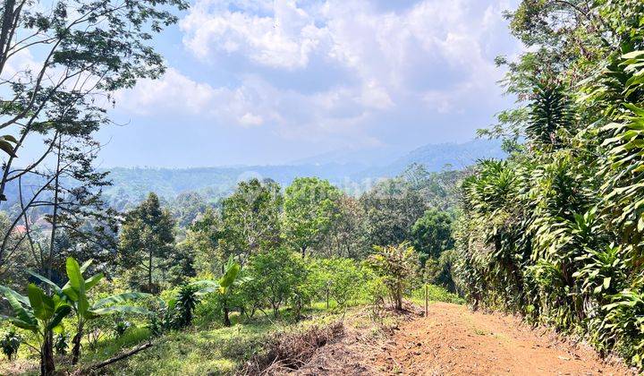 Kebun Durian Siap Buah 5190m2 Kota Wisata Kemuning Karanganyar  2