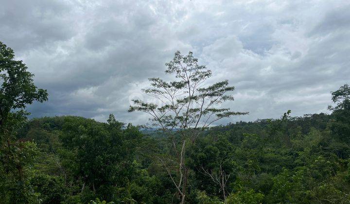 Tanah Datar Timur Smp Kerjo, Karanganyar 7905m2 2