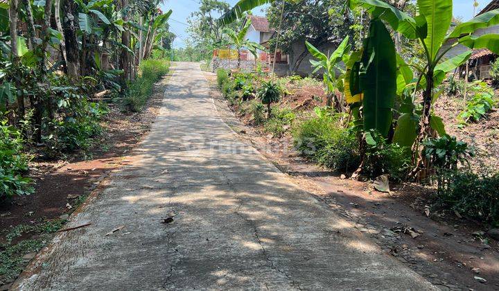 Termurah Tanah Datar Kebun Durian 125Jt Mojogedang, Solo 1