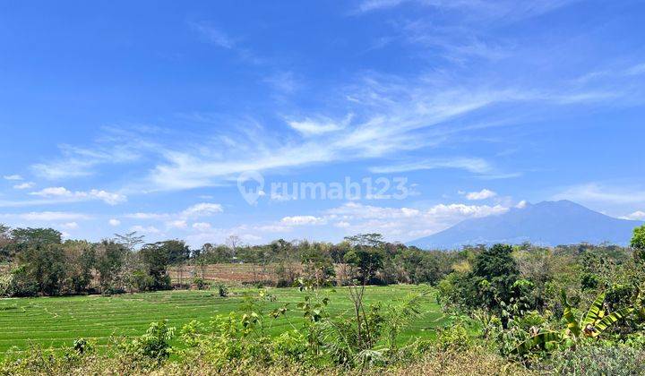 Tanah Datar View Gunung Lawu 615m2 Mojogedang, Karanganyar  2