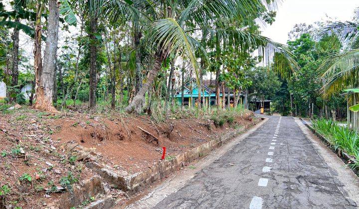 Pekarangan Utara Kantor Kecamatan Kerjo, Karanganyar 336m2  2