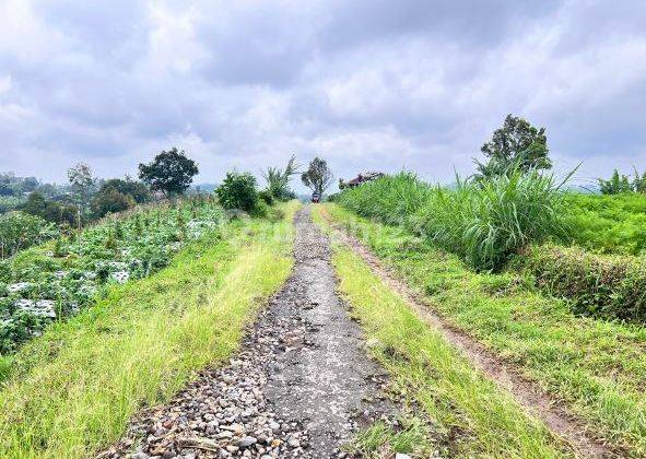 Tanah 3800m² Kawasan Wisata Kemuning, Solo Raya  2