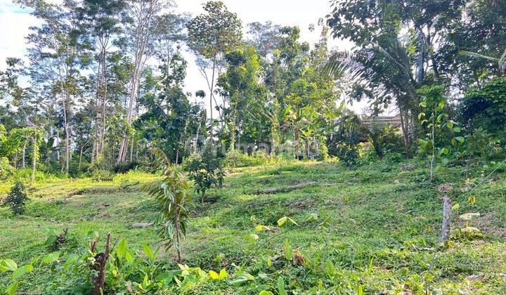 Tanah 1368m² Cocok Untuk Kebun Buah Karanganyar 1