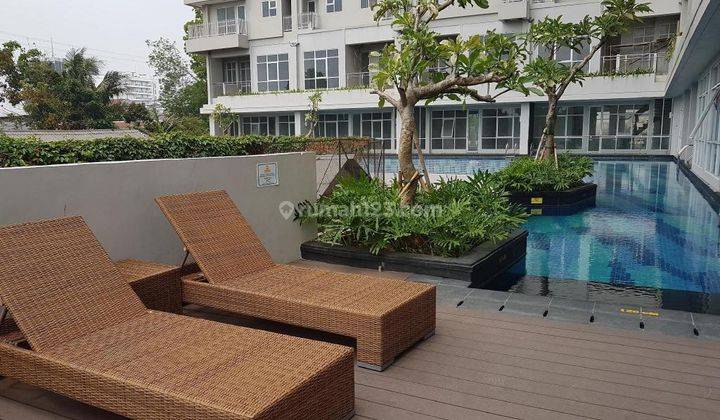 Apartement Bintaro Icon, Studio Delux Disewakan Kondisi Bagus, Dekat Kolam Renang. 1