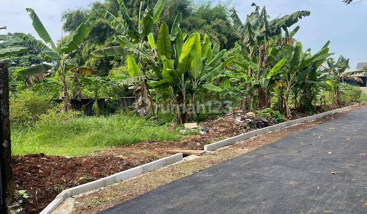 Tanah Hoki, Rata Bagus Dan Ngantong, Sangat Cocok Untuk Dibangun Rumah Dsb. Jalan Sudah Beraspal. 1