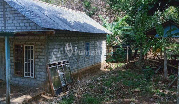 Tanah rata cocok untuk tempat pemukiman nan asri, di Wonosari. 1